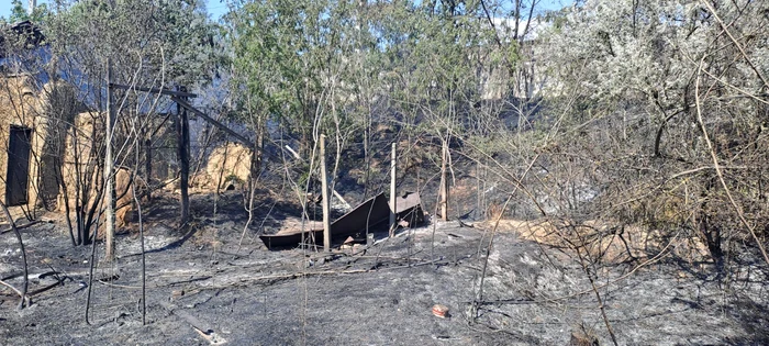 Video----------Incendiul-de-la-Chilia-Veche-a-fost-lichidat-Peste-1300-de-hectare-de-vegetaie-uscat-afectate