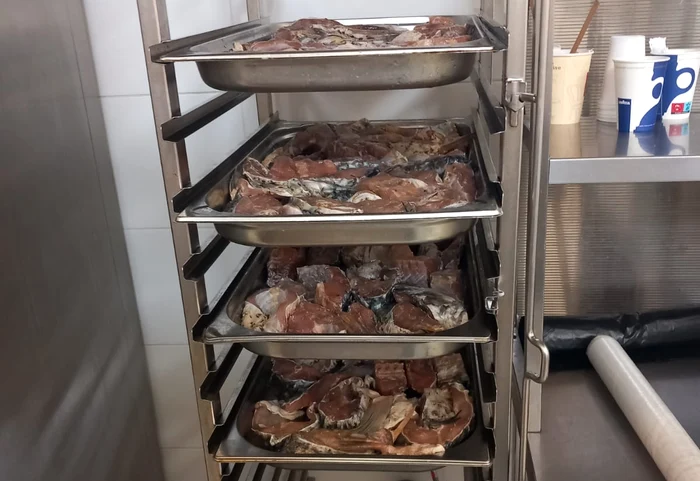 Video----------Mncare-expirat-i-jeg-n-restaurantele-de-pe-litoralul-romnesc-ANPC-a-nchis-10-operatori-economici-i-a-dat-amenzi-de-732000-lei
