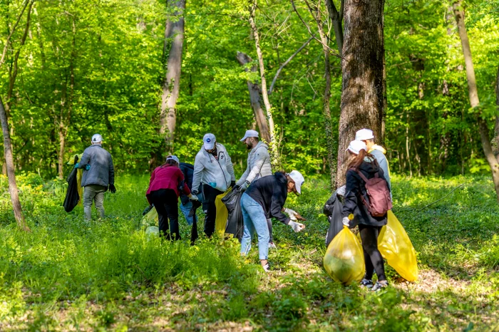 ---------Proiect-pentru-supravegherea-activitii-organizaiilor-non-profit-Un-ONG-reclam-o-serie-de-prevederi-neclare
