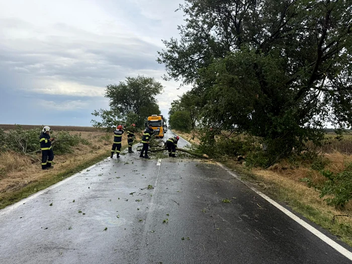 Video----------Copaci-czui-i-drumuri-blocate-n-Dolj-n-urma-vijeliilor-Meteorologii-au-emis-Cod-portocaliu-de-vijelii-pentru-cinci-judee-din-sud