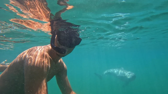 ---------ntlnire-spectaculoas-n-Marea-Neagr-un-delfin-prietenos-s-a-ntors-la-un-turist-spre-uimirea-tuturor