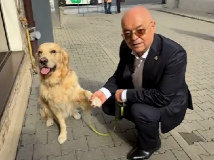 Video----------Clujenii-pot-intra-cu-animalele-de-companie-n-cldirea-Primriei-Ce-reguli-trebuie-s-respecte