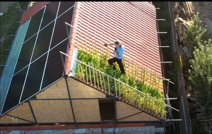Video----------Grdin-de-legume-i-panouri-solare-pe-post-de-acoperi-Investiia-multifuncional-a-unui-informatician-din-Alba