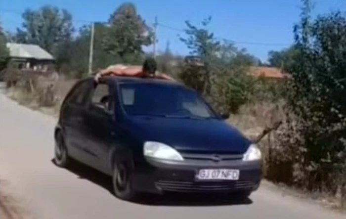 ---------oferul-care-a-plimbat-un-prieten-pe-plafonul-mainii-pe-o-strad-din-Gorj-nu-avea-nici-permis