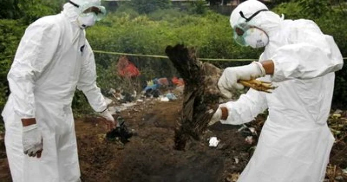 ---------Se-profileaz-o-nou-criz-gripa-aviar-se-extinde-ngrijortor-n-Europa