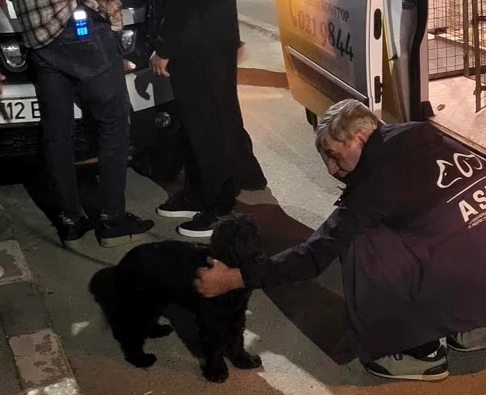 Video----------Brbat-filmat-n-timp-ce-i-btea-cinele-Individul-ar-mai-fi-agresat-animalul-i-n-trecut-Poliia-a-nceput-urmrirea-penal-n-cazul-su