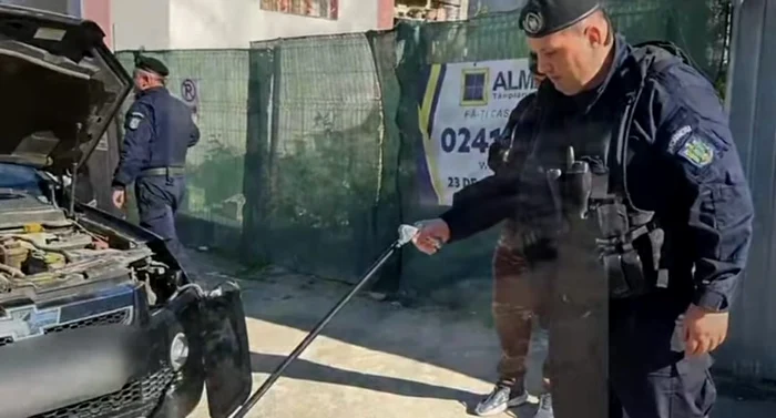 Video----------Un-ofer-s-a-trezit-cu-arpele-pe-parbriz-n-timp-ce-conducea-n-Tulcea-