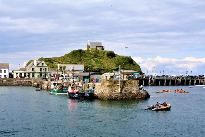 ---------Animalul-care-revine-ntr-o-tar-din-Europa-dup-100deani-de-absen-O-specie-pierdut-se-ntoarce-acas