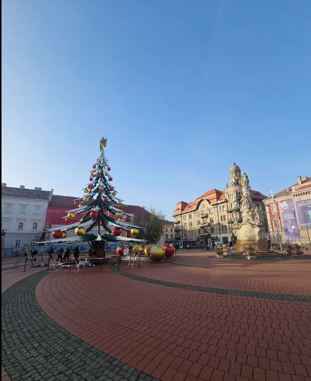 ---------Bradul-ciudat-montat-n-Piaa-Libertii-din-Timioara-a-strnit-discuii-E-urt-tare-sincer-