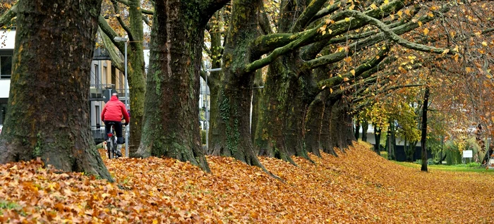 ---------Cum-va-fi-vremea-n-luna-noiembrie-Temperaturi-peste-normal-i-ploi-n-sud-est-