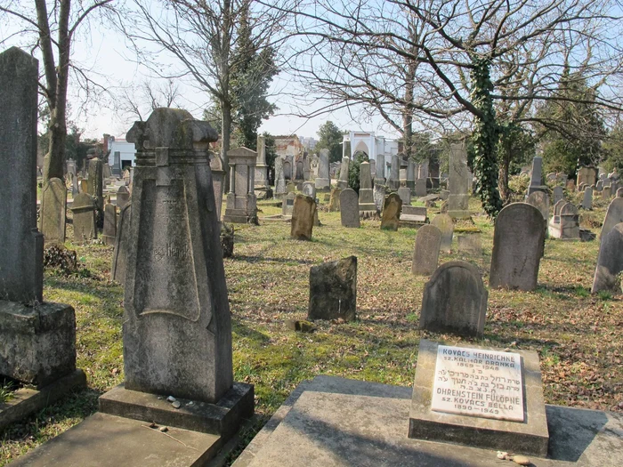 ---------Doi-minori-cercetai-de-procurori-dup-ce-au-desenat-simboluri-naziste-n-Cimitirul-Evreiesc-din-Arad