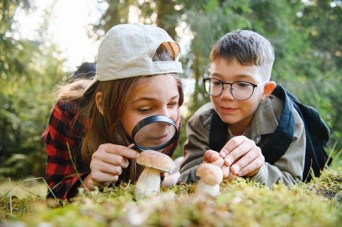 ---------Educaie-prin-explorare-cum-transformi-o-plimbare-banal-ntr-o-aventur-pentru-copii