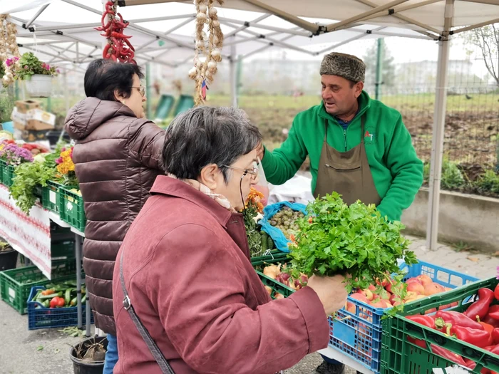 ---------Fermierul-care-n-a-ieit-din-joc-legume-proaspete-i-la-final-de-sezon-Dovleceii-i-roiile-au-mers-cel-mai-bine