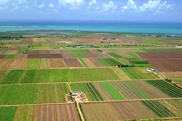 ---------Lovitur-pentru-agricultori-crete-cu-140-baza-de-impozitare-a-terenurilor