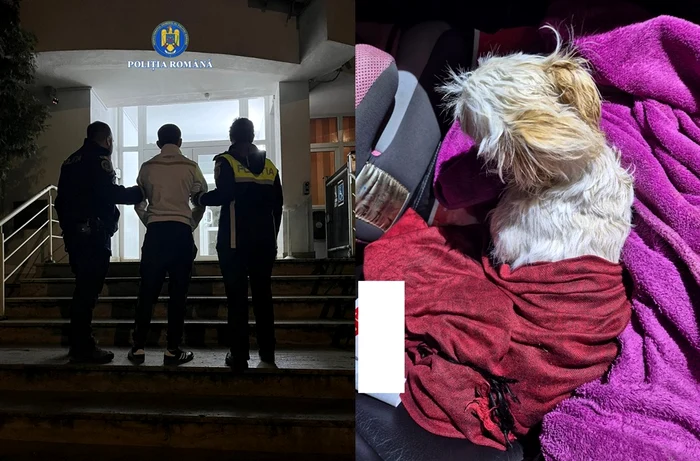 ---------Rzbunarea-ocant-a-unui-brbat-din-Hunedoara-dup-o-ceart-cu-soia-a-aruncat-cinele-familiei-de-la-etaj