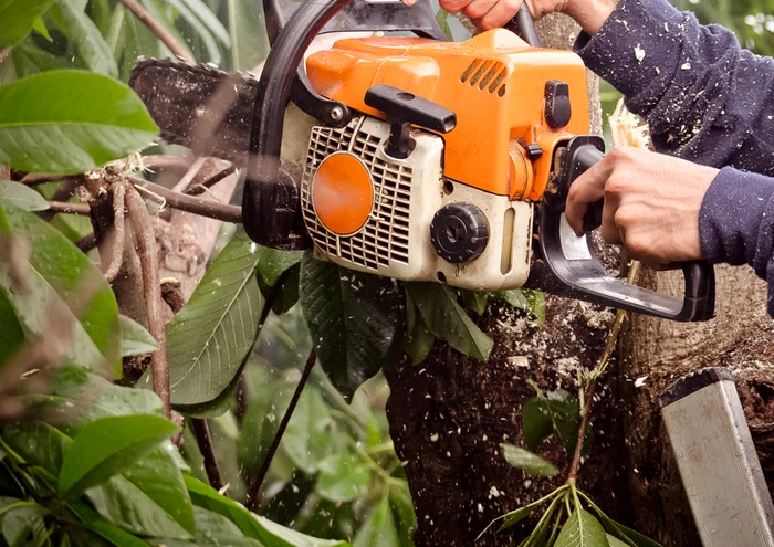 ---------Un-muncitor-rnit-grav-de-o-creang-n-timp-ce-tia-lemne-a-murit-la-spital