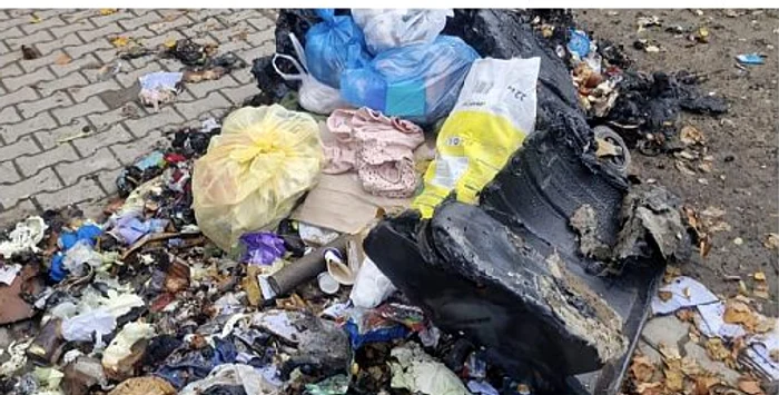 Video----------Cetean-strin-reinut-dup-ce-a-dat-foc-unei-ghene-de-gunoi-din-Bucureti