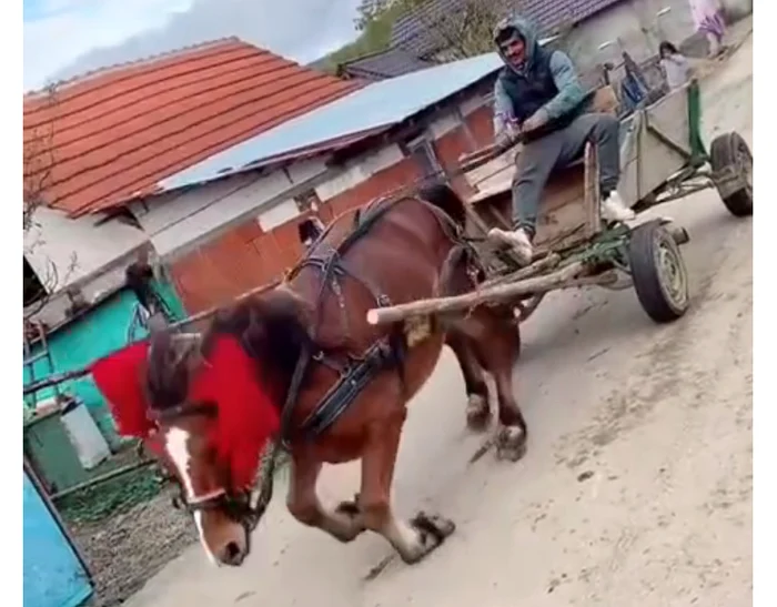 Video----------Individ-reinut-dup-ce-a-schingiuit-un-cal-i-s-a-ludat-cu-imaginile-pe-TikTok