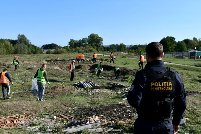 ---------Ajutor-n-gospodrie-de-la-deinui-ct-plteti-pentru-o-or-de-munc-Avei-de-spart-lemne-de-spat-manual-de-curat-pomii-sau-alte-activiti-gospodreti