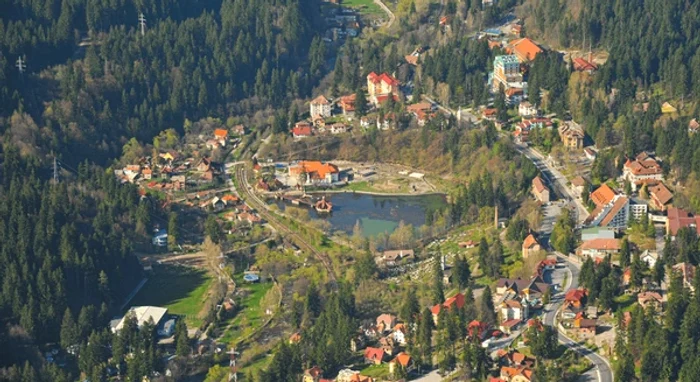 ---------Bile-Tunad-sprijinite-de-orae-din-Ungaria-dup-vijelia-care-a-distrus-spaiile-verzi-Noi-mai-avem-o-groaz-de-treburi-i-cu-urii