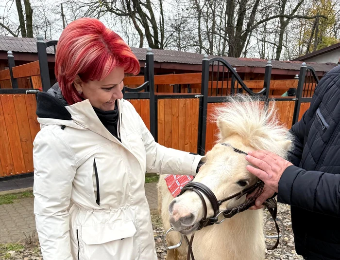 ---------Ce-surprize-mai-pregtete-Olgua-Vasilescu-de-Crciun-cprioarele-se-vor-plimba-libere-copiii-pot-clri-ponei