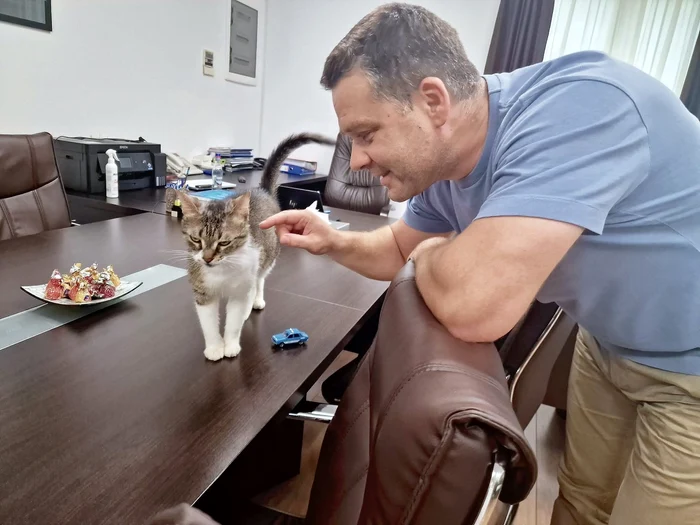 ---------Ciprian-Ciucu-anun-ce-se-va-ntmpla-cu-Jessy-pisica-mascot-a-Primriei-Sectorului-6-dup-mutarea-lui-la-PMB