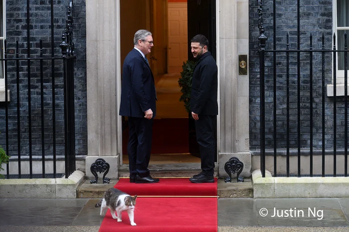 ---------Larry-motanul-de-la-Downing-Street-a-furat-privirile-n-timpul-vizitei-lui-Zelenski-la-Londra-Lasai-l-s-intre-e-frig