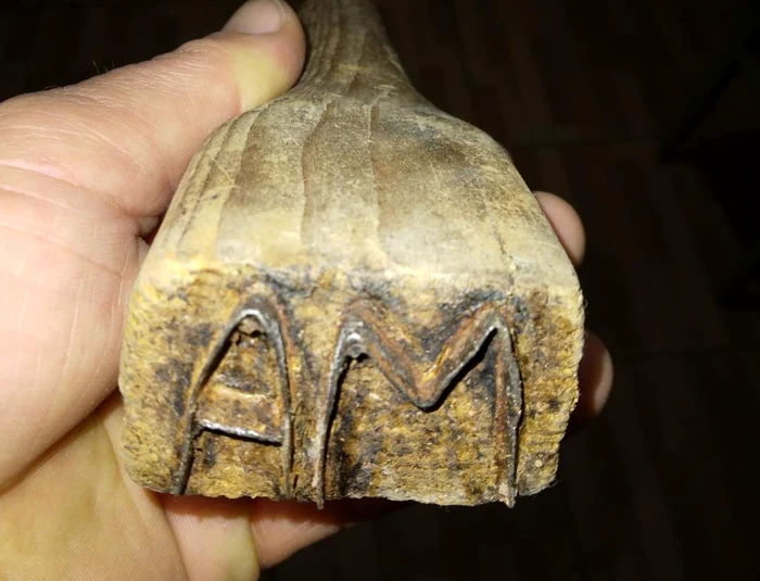 ---------Misterul-slninii-ascunse-n-ultima-iarn-a-comunismului-pstrat-35-de-ani-n-turnul-bisericii-din-Sibiu-S-mai-am-hran-pentru-familie