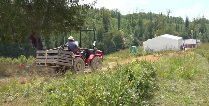 ---------Norme-mai-simple-i-sprijin-consistent-pentru-fermieri-prin-noile-msuri-adoptate-n-Parlamentul-European