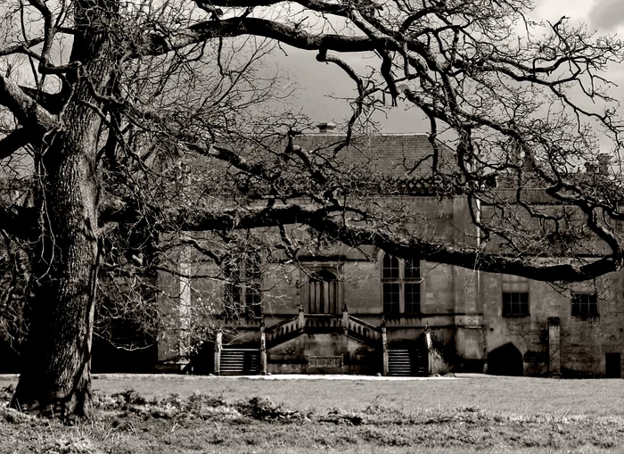 ---------O-femeie-a-reuit-s-nele-un-broker-imobiliar-cu-zeci-de-mii-de-euro-dup-ce-a-pretins-c-e-descendenta-unei-familii-nobiliare-maghiare-i-posesoarea-a-cinci-castele