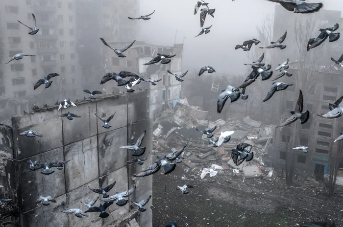 ---------Soldaii-ucraineni-din-prima-linie-despre-planul-de-pace-al-SUA-Bieii-notri-sunt-n-tranee-Ei-au-dreptul-s-decid