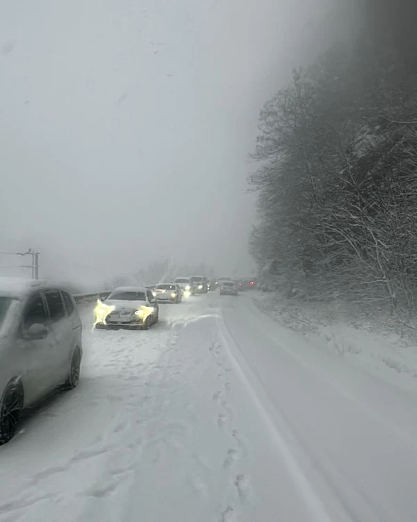 ---------Trafic-de-comar-pe-Valea-Oltului