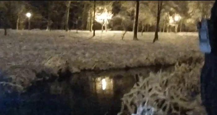 Video----------Urmrit-de-o-hait-de-cini-un-brbat-a-czut-n-lacul-unui-parc-din-Craiova-Reacia-Primriei