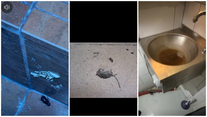 ---------oarece-mort-gndaci-i-mizerie-de-nedescris-ANPC-a-nchis-temporar-un-restaurant