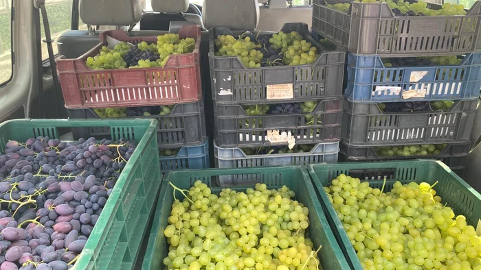 ---------Banii-europeni-i-condiiile-n-care-fermierii-au-acces-la-ei-n-2026-Sumele-sunt-micue-btlia-va-fi-acerb