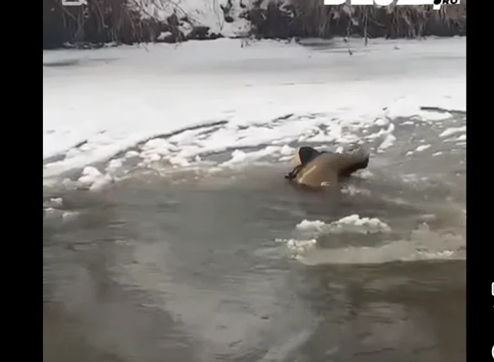 ---------Doi-copii-de-4-i-5-ani-au-czut-n-rul-Some-n-timp-ce-se-aflau-la-derdelu-Unul-dintre-ei-e-de-negsit-Mobilizare-impresionant-