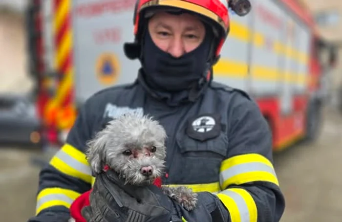 ---------Incendiu-ntr-un-bloc-din-Giurgiu-Zeci-de-persoane-s-au-autoevacuat-Pompierii-au-salvat-un-celu-ascuns-ntr-un-ifonier
