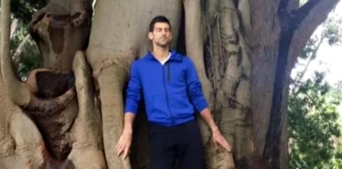 ---------Novak-Djokovic-mbrieaz-un-anumit-copac-din-Grdina-Botanic-de-la-Melbourne-mi-vindec-rnile-i-mi-ine-companie