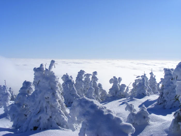 ---------Prognoza-meteo-pentru-urmtoarele-patru-sptmni-Cnd-scpm-de-vremea-rea-potrivit-meteorologilor