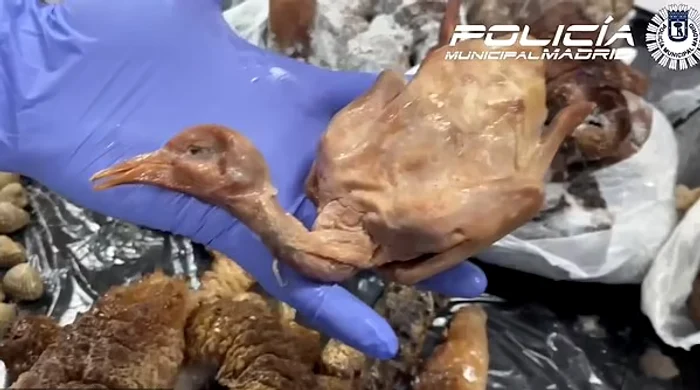 ---------Un-restaurant-chinezesc-a-fost-nchis-porumbei-mori-erau-servii-drept-ra-la-cuptor