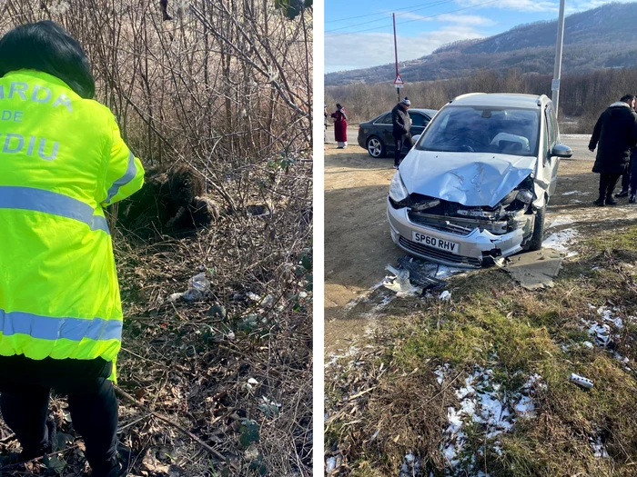 ---------Urs-lovit-mortal-de-o-main-n-Buzu-Cazul-este-anchetat-de-poliiti