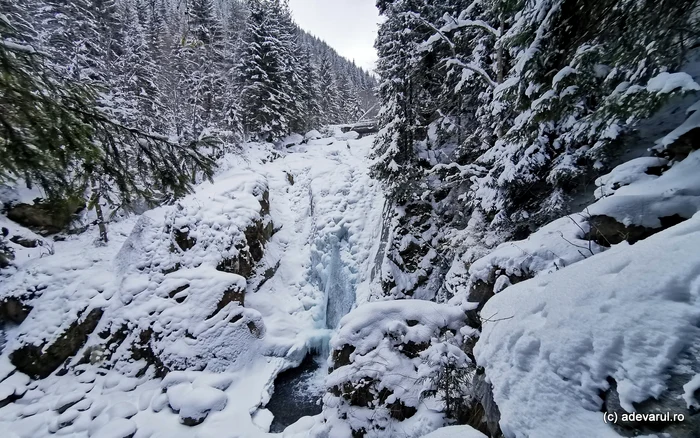 Video----------Cascada-Lolaia-monumentul-de-ghea-din-Retezat-Ce-gsesc-turitii-iarna-n-locul-emblematic-de-pe-valea-Pietrele--