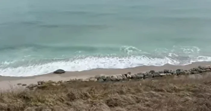 ---------Alert-pe-plaj-dron-gsit-ntre-Costineti-i-Tuzla-observat-de-trei-tineri-la-plimbare-cu-bicicleta