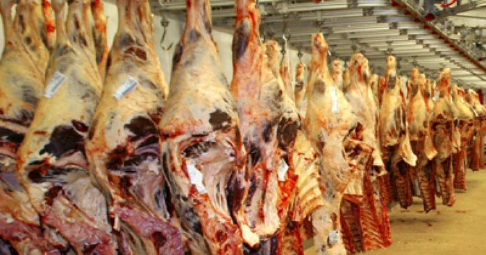 ---------Avertismentul-cresctorilor-Carnea-de-porc-se-vinde-cu-47-leikg-la-poarta-fermei-Multe-se-vor-nchide-n-cteva-luni-pentru-c-nu-i-pot-acoperi-datoriile