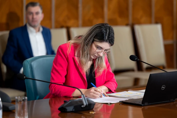 ---------Diana-Buzoianu-chemat-la-Ora-Guvernului-pentru-blocarea-investiiilor-strategice-n-cazul-acumulrii-Mihileni