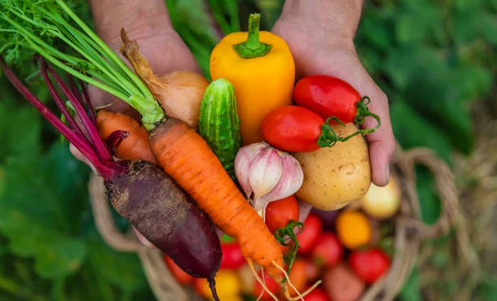 ---------Leguma-care-concureaz-cu-carnea-n-Rusia-preurile-au-explodat-din-cauza-sezonului-rece-i-a-cheltuielilor-uriae-cu-energia