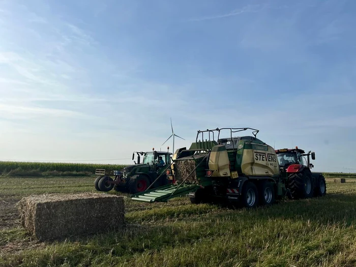 ---------O-mare-companie-olandez-i-vinde-fabrica-utilajele-i-terenurile-din-Romnia-800-de-hectare-disponibile-pentru-investitori