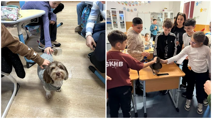 ---------Opionalul-Ora-cu-i-pentru-animale-va-fi-introdus-n-coli-la-nivel-naional-Va-face-din-elevii-de-azi-nite-aduli-responsabili