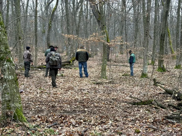 ---------Patru-persoane-au-fost-reinute-n-dosarul-privind-defririle-ilegale-n-pdurea-din-Bile-Felix-Ce-au-gsit-anchetatorii-la-percheziii