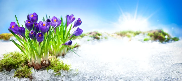 ---------Prognoza-pentru-luna-martie-cnd-scpm-de-ger-Meteorologii-anun-o-nclzire-brusc-a-vremii